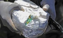 Mexique: 800 kg de cocaïne saisis au large des côtes du Pacifique Mexique: 800 kg de cocaïne saisis au large des côtes du Pacifique