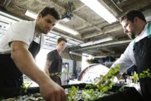 Cuisine: Un chef américain offre un menu tout cannabis Cuisine: Un chef américain offre un menu tout cannabis