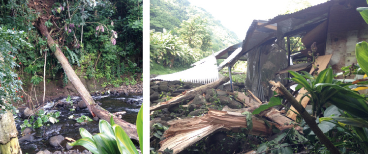 Mahina : une partie de leur toiture s'est effondrée avec un arbre