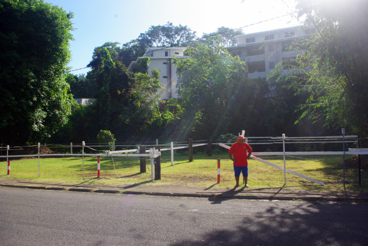 Pirae : Un pâturage pour un terrain de volleyball ? Pirae : Un pâturage pour un terrain de volleyball ?