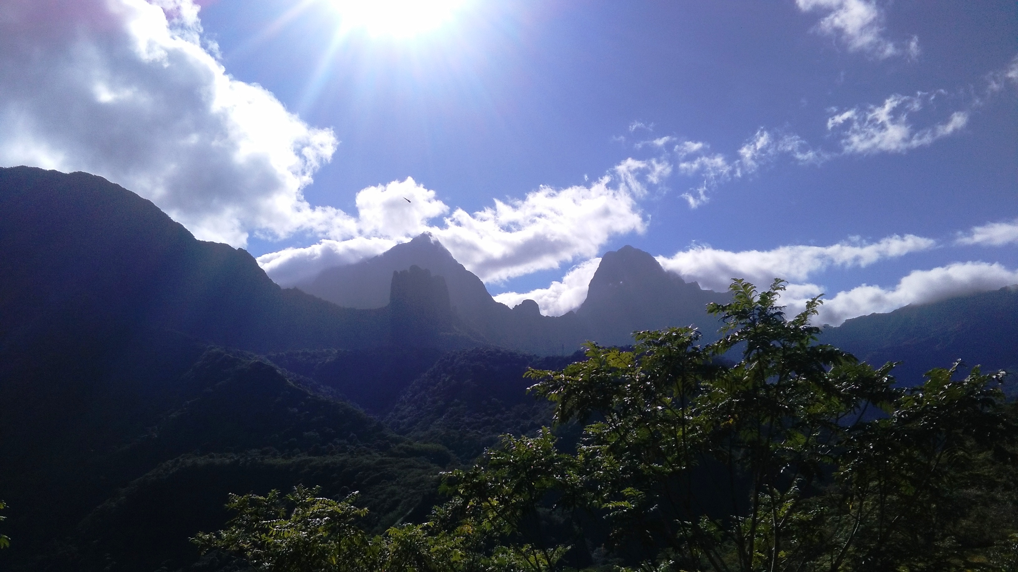 Randonnée du plateau des orangers : un vrai délice