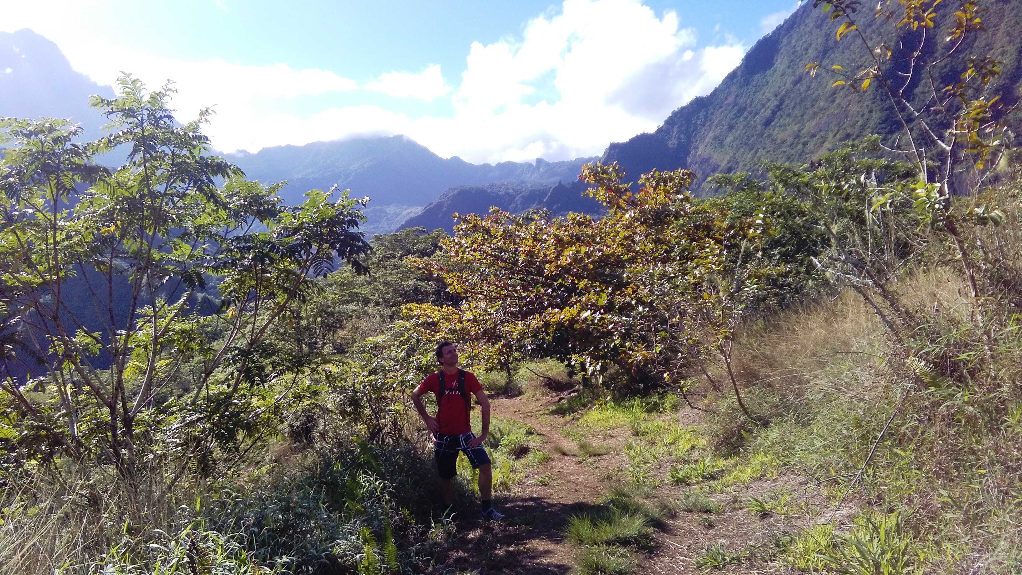 Randonnée du plateau des orangers : un vrai délice