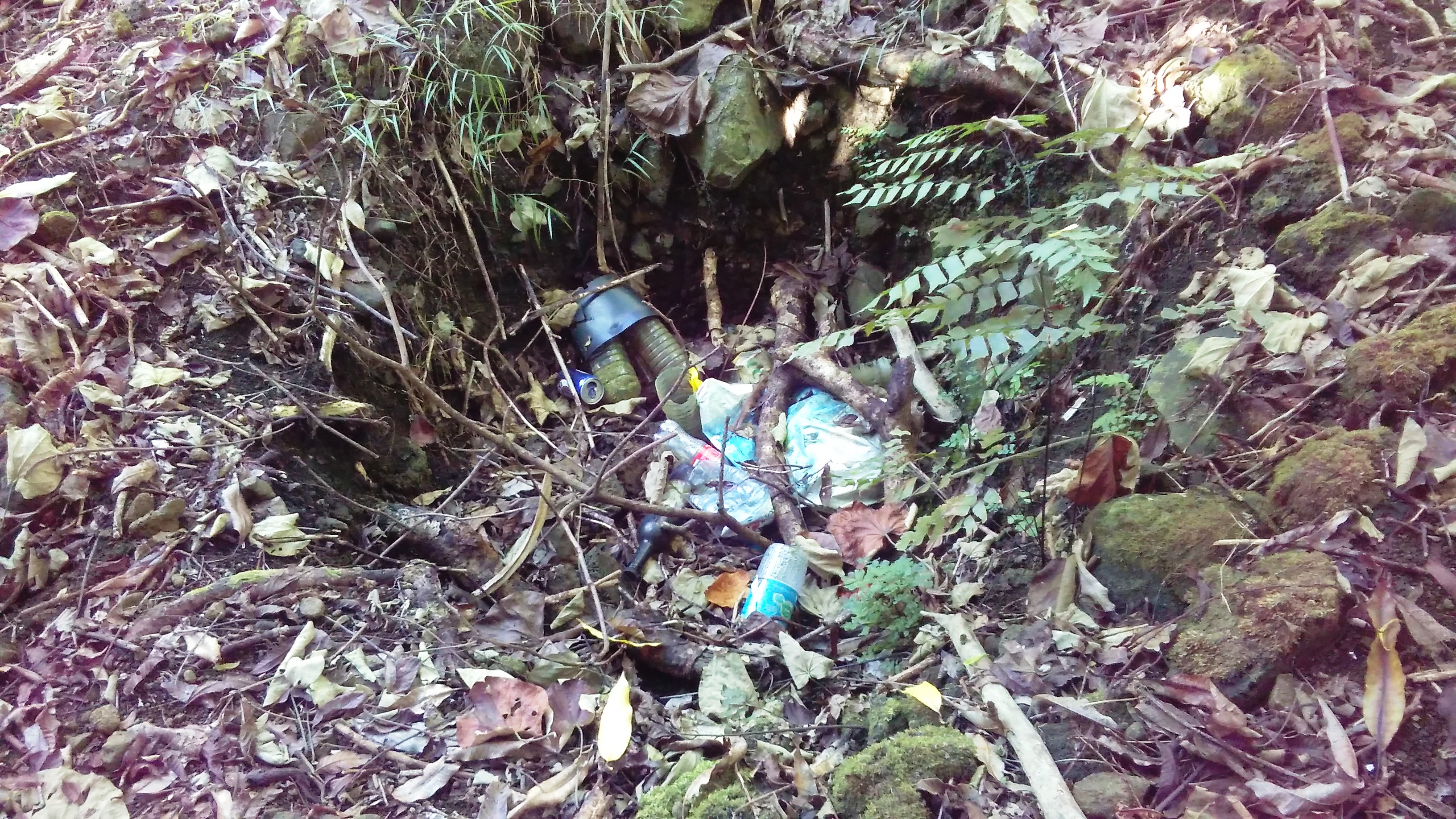 Randonnée du plateau des orangers : un vrai délice