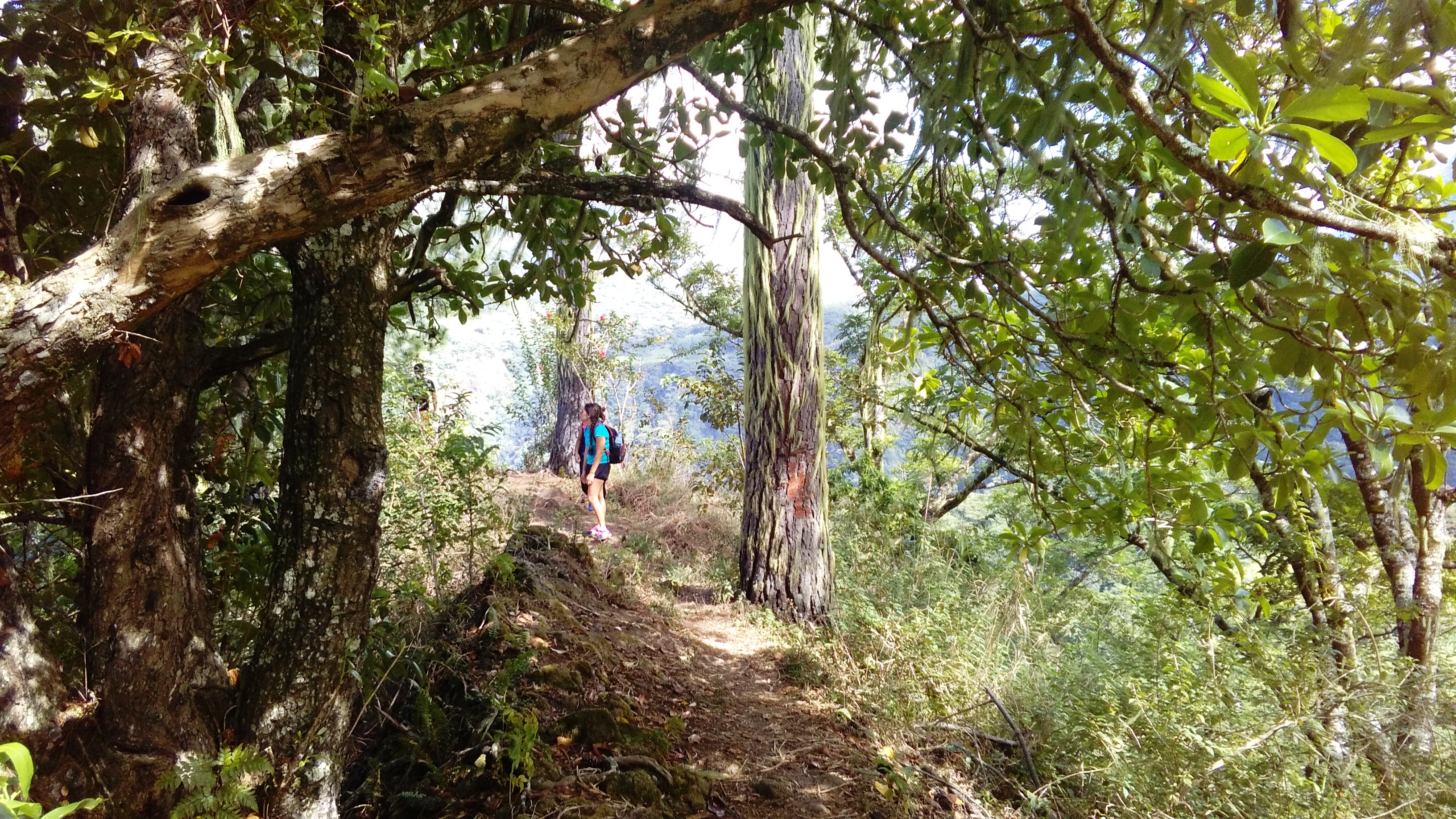 La randonnée est parfois ombragée.