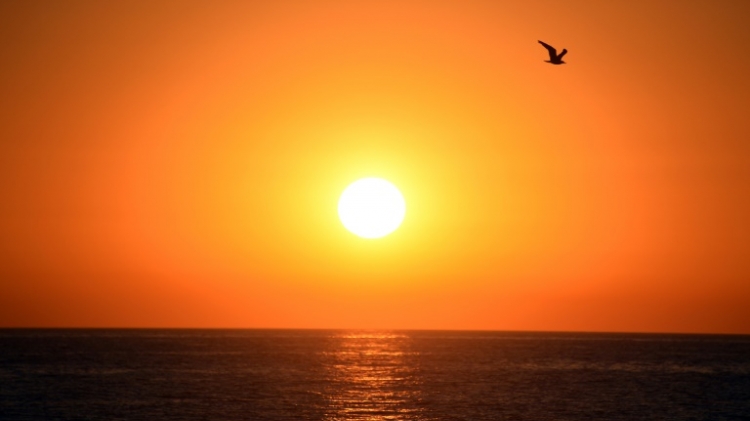 Juillet a été le mois le plus chaud jamais enregistré