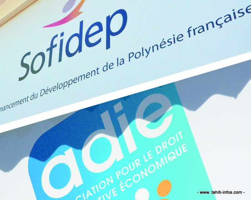 Aides A La Creation D Entreprise L Adie Et La Sofidep Deux