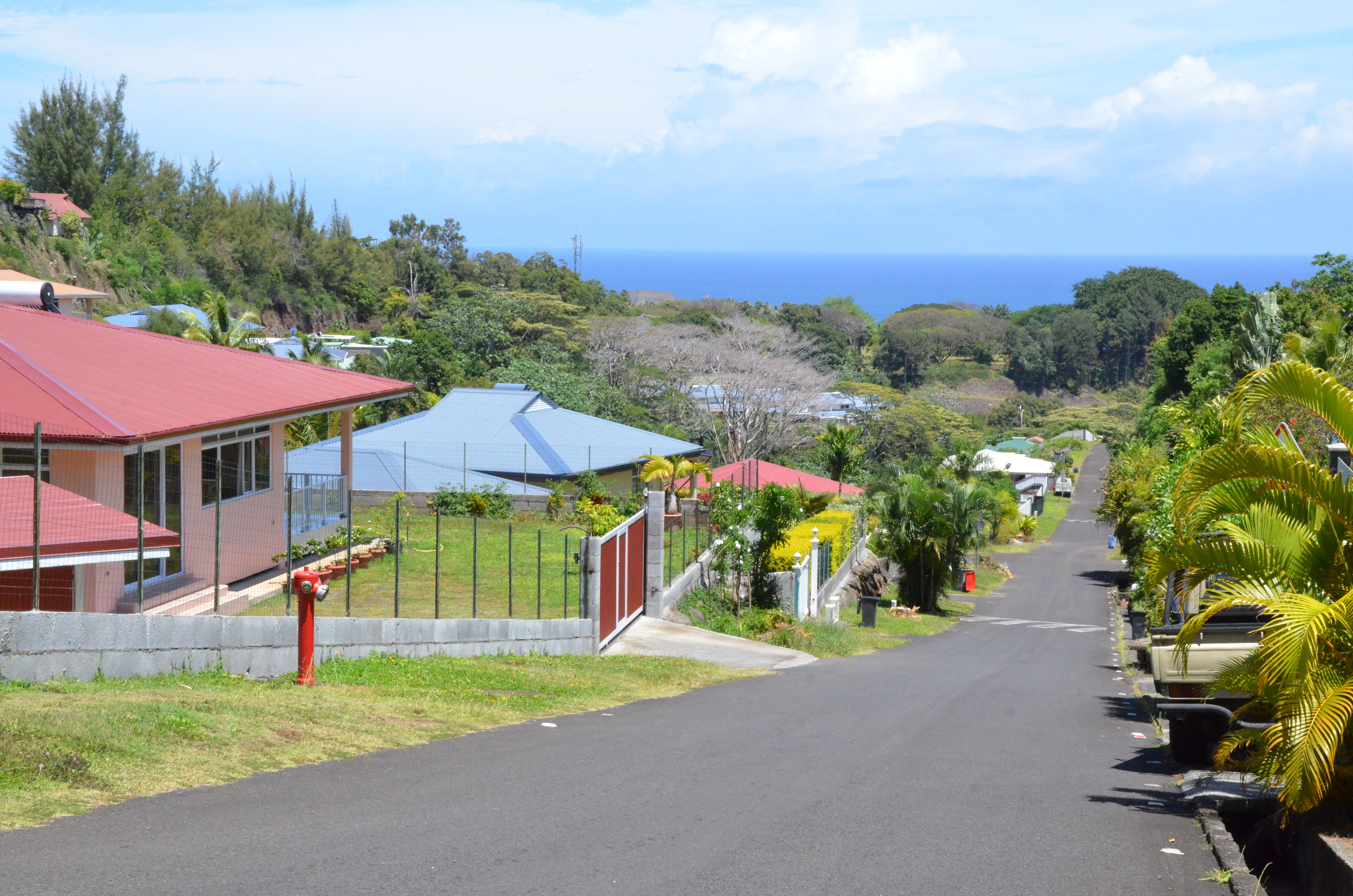 L’entrepreneur individuel protégé