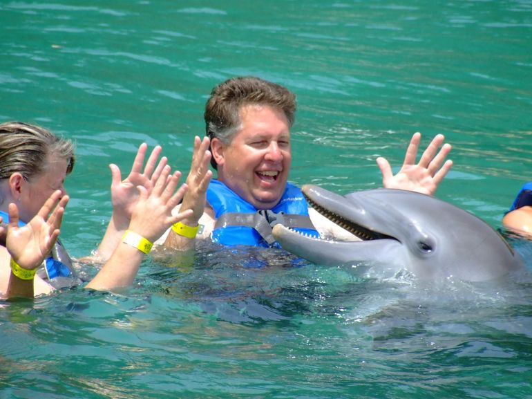 Les Etats-Unis veulent interdire la baignade avec des dauphins à Hawaï