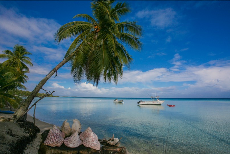 Matin tranquille devant la pension : les deux bateaux de Franck attendent les pêcheurs ; le plus gros, le Cocolanta III est équipé de deux moteurs de 150 CV.