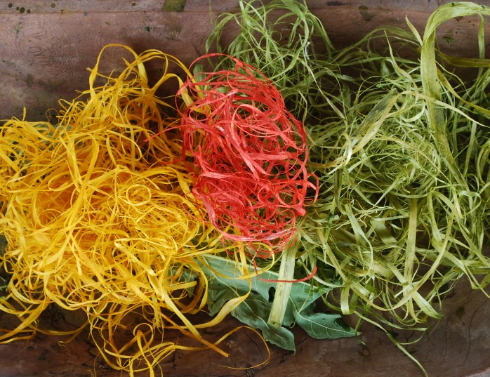 Fibres végétales teintes en teintures naturelles