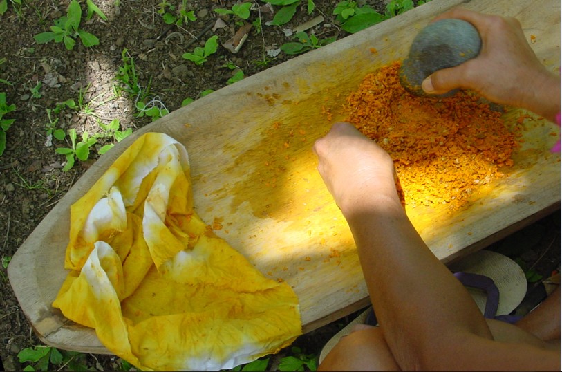 Teinture jaune obtenue avec des racines de nono