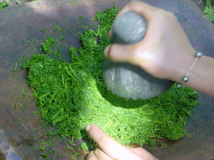 Feuilles de papayer écrasées au penu (pilon en pierre).