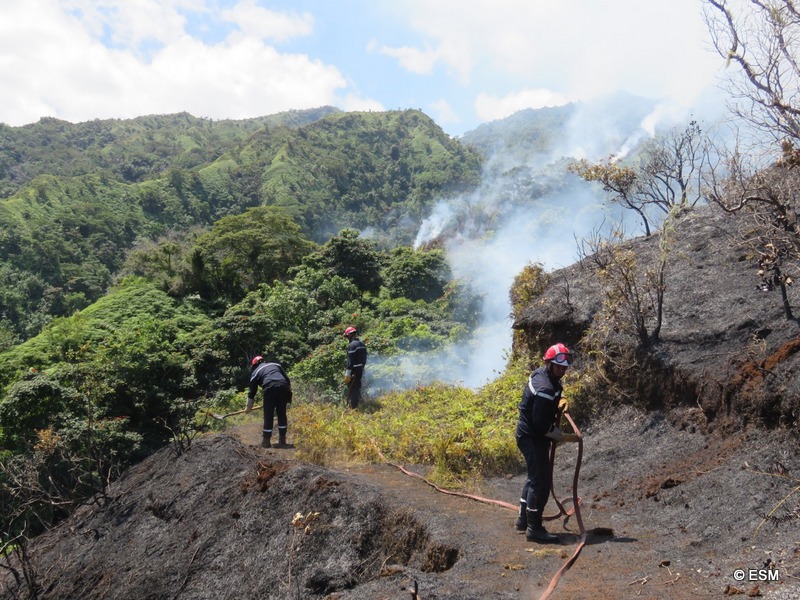 Te Maru Ata : l'incendie a dévasté trois hectares, les pompiers toujours mobilisés dimanche (Màj)