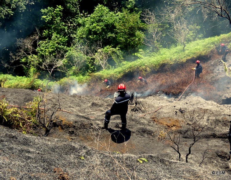 Te Maru Ata : l'incendie a dévasté trois hectares, les pompiers toujours mobilisés dimanche (Màj)