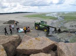 Algues vertes: des associations s'interrogent après la mort d'un joggeur dans la vase en Bretagne