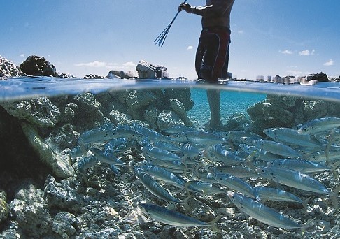 L'accusé, qui comparait libre, encourt tout de même 15 ans de prison. Décision demain mercredi. (Illustration)