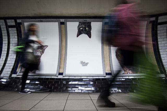 Prendre le métro, c'est faire du sport