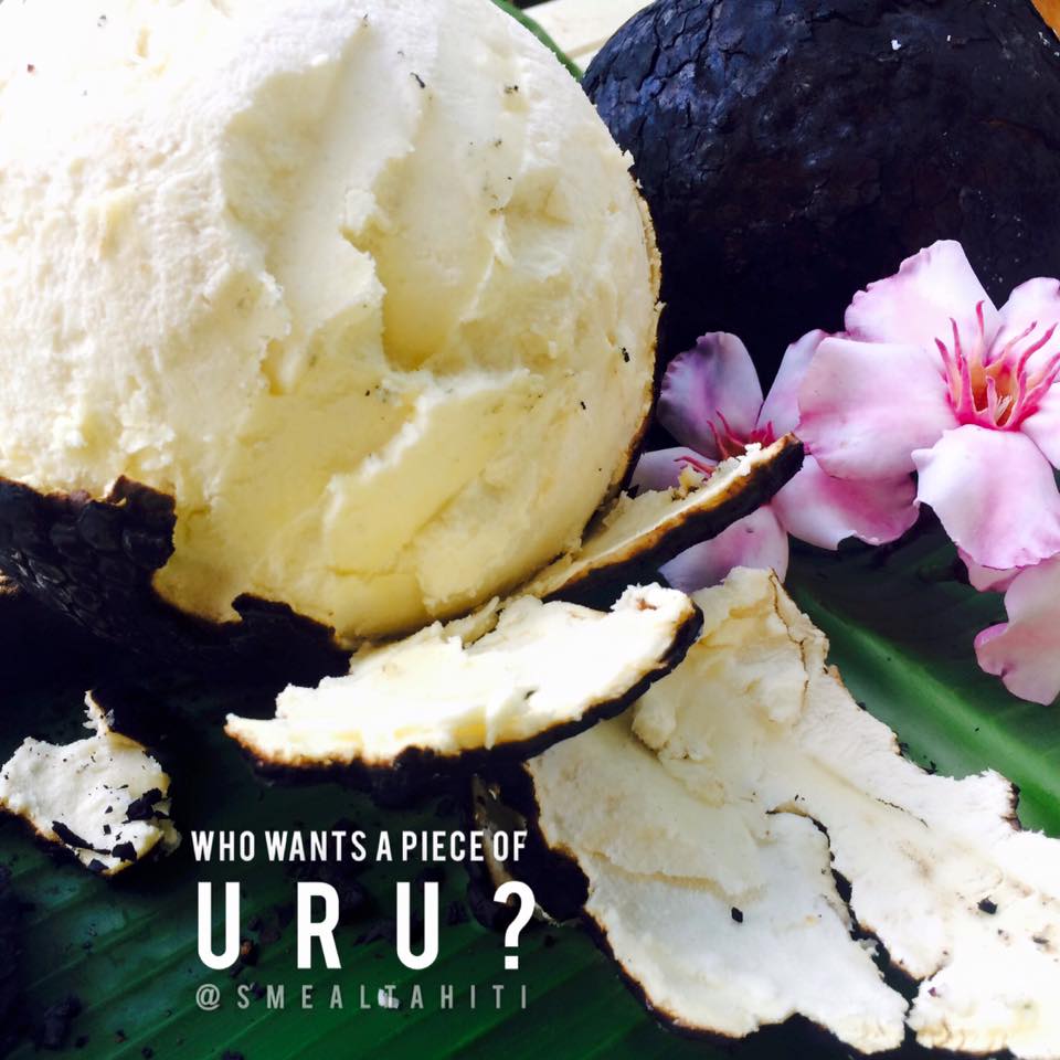 Smeal, la p’tite boîte qui monte