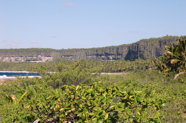 Les sites miniers de Makatea ont fermé en 1966, il y a 50 ans. En 58 ans, 11,2 millions de tonnes avaient ainsi été extraits. Julien Mai prépare une exposition pour retracer l'histoire de Makatea.