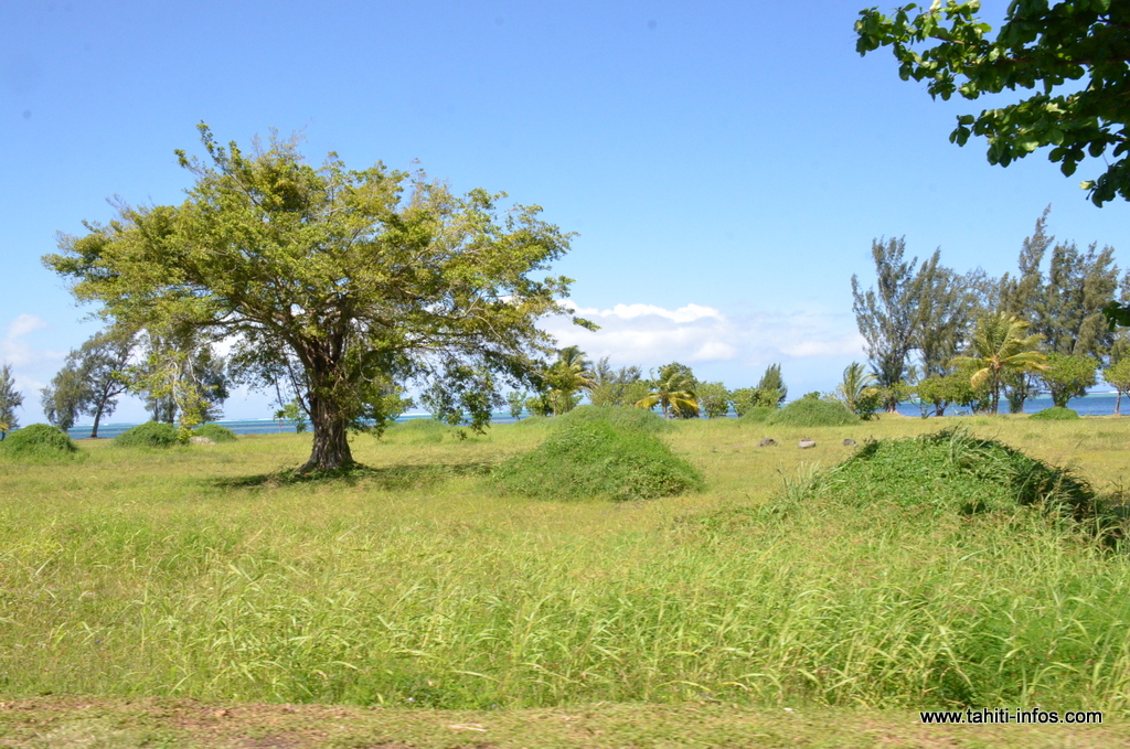 Creation D Une Aide Pour Favoriser La Sortie D Indivision