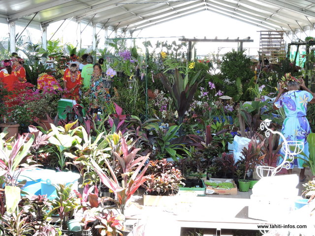 Comme chaque année, les horticulteurs vous proposeront leurs plus belles plantes.