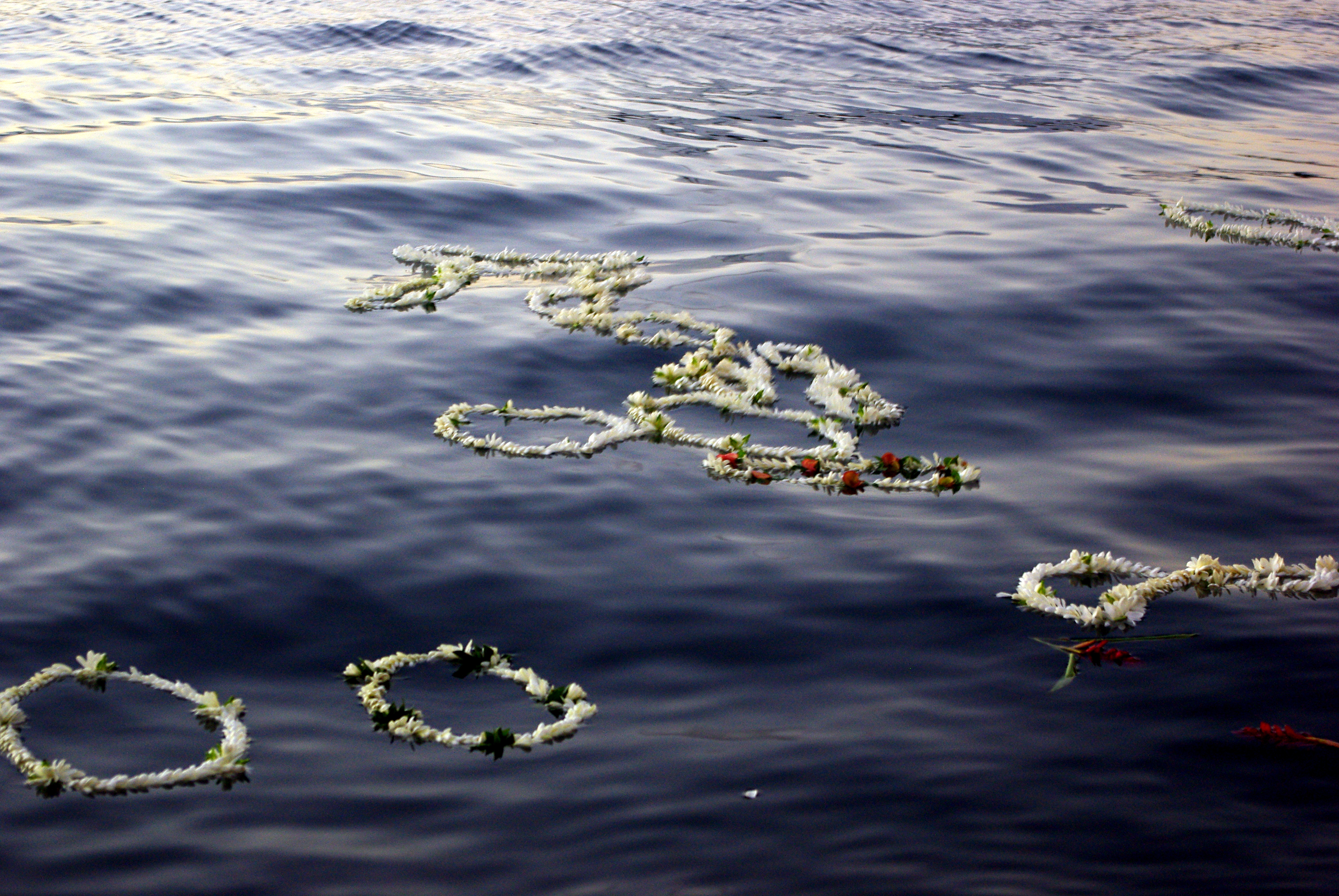 Mieux comprendre : Comment rapatrier un défunt vers les îles ?