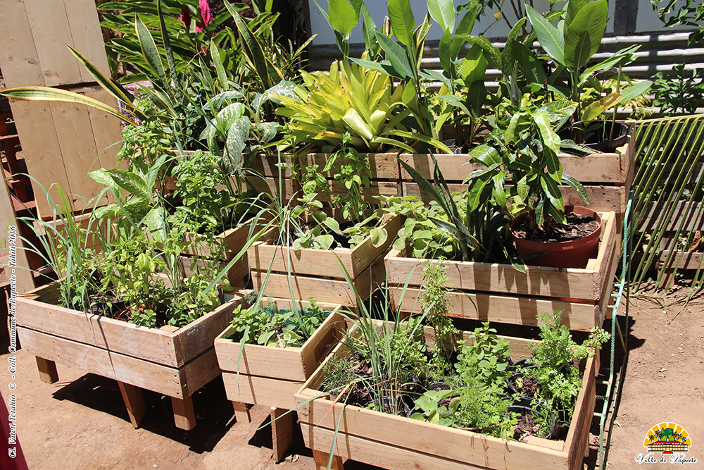 Formés en CAE, ils ont pu créer leur emploi ! 