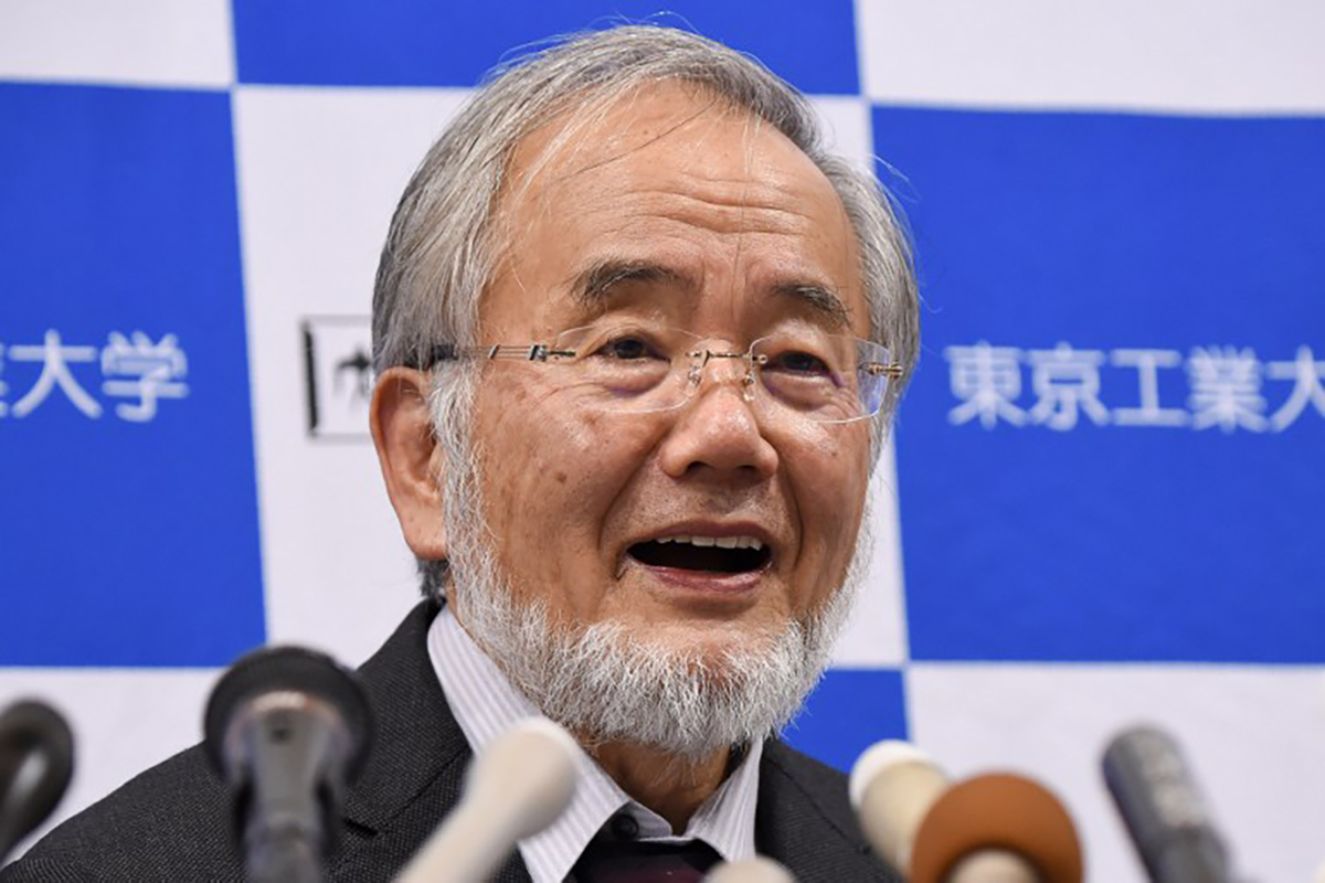 Le Nobel de médecine à un Japonais qui a exploré l'"usine de recyclage" cellulaire