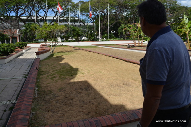 Par contre, il sera difficile de planter des arbres sur ces terre-pleins puisque le parking se trouve juste en-dessous