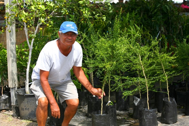 Louis Lui Mu Yoe prend la pose aux côtés de ses magnifiques plants de jeunes citronniers caviar. Nous en avons vu deux pieds sur un autre stand de la foire. Photo : DP