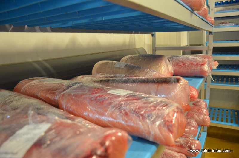 Le prix du thon blanc s'envole