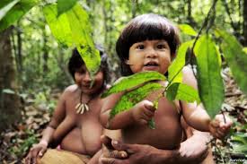 Garantir leurs terres aux indigènes d'Amazonie est source de richesse (étude)