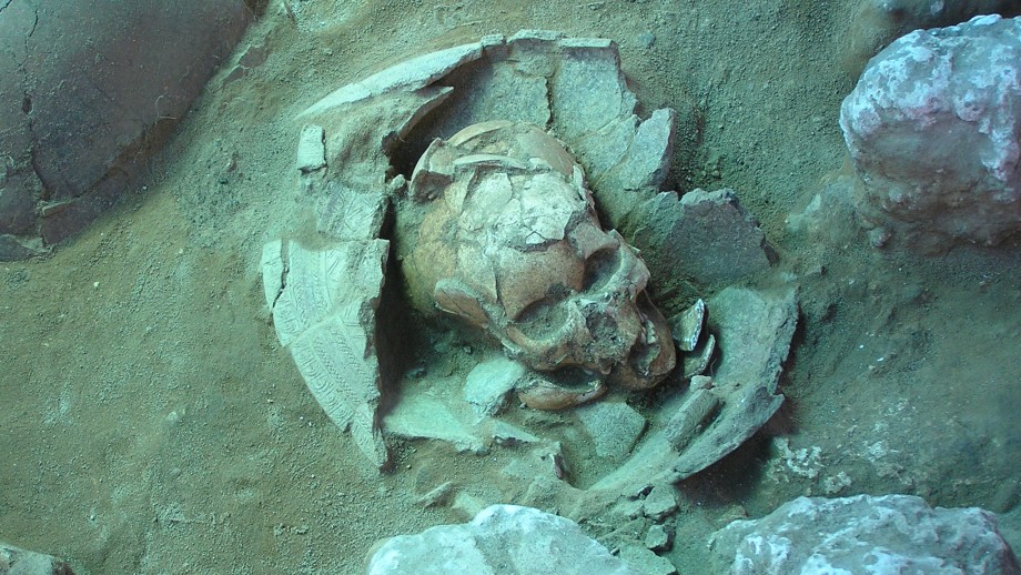 Ce crâne provient d'un vieux site funéraire de 3000 ans situé aux Vanuatu. Il est l'une des 4 sources de l'ancien ADN analysé par l'étude.