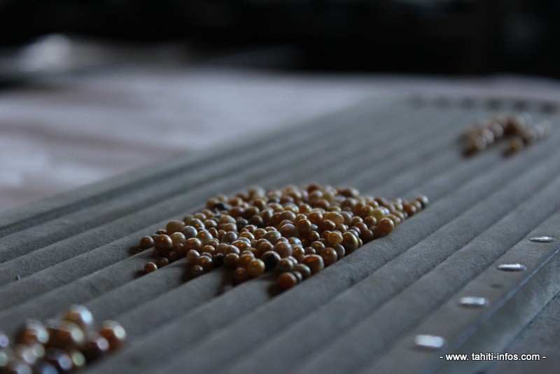Jean-François Ferrandon, bijoutier hors du commun