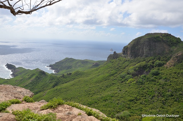 "La biodiversité marine des Marquises recèle encore nombre de mystères. Cependant, les dernières  campagnes et travaux scientifiques convergent pour souligner son exceptionnalité (fort endémisme,  productivité  primaire  très  importante,  intégrité)", souligne Sophie-Dorothée Duron (Agence des aires marines protégées).