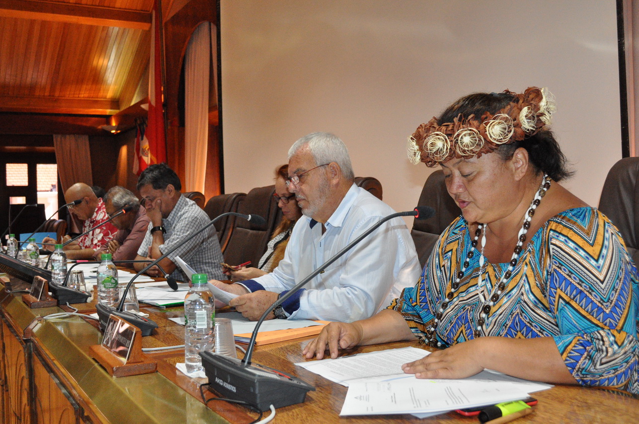 Présenté par Vaitea Le Gayic et Patrick Bagur, le projet d’avis a été adopté par 35 votes pour, zéro vote contre et deux abstentions.