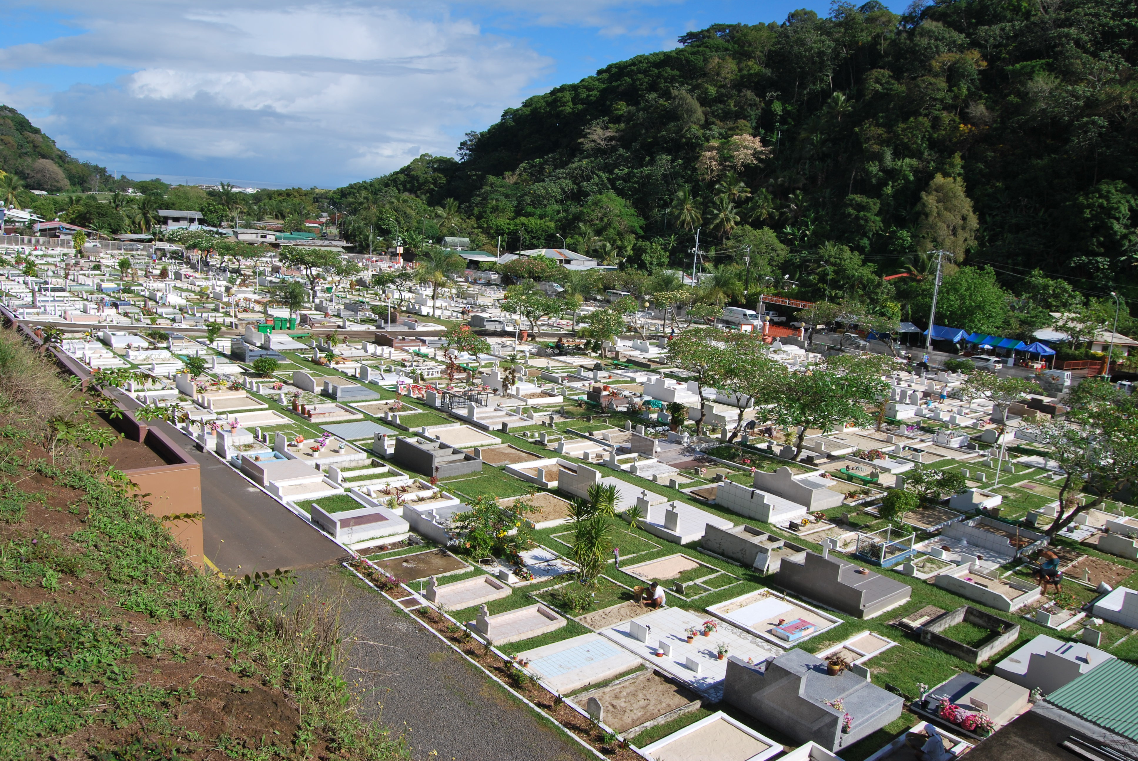 Si vous ne voulez pas acheter votre concession, faites-vous connaitre auprès de la mairie, avant le 21 novembre.