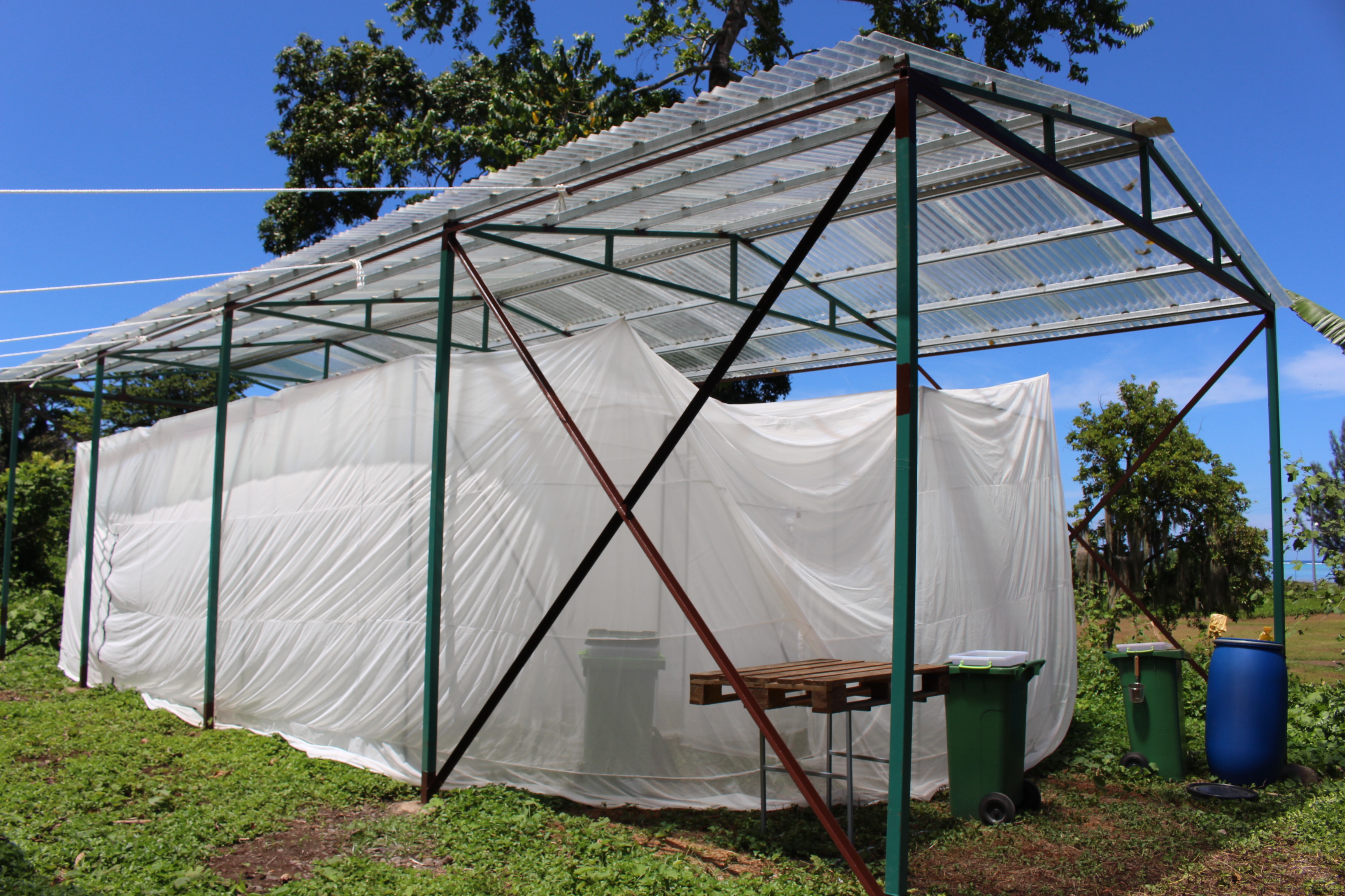 Technival élève des mouches à Paea