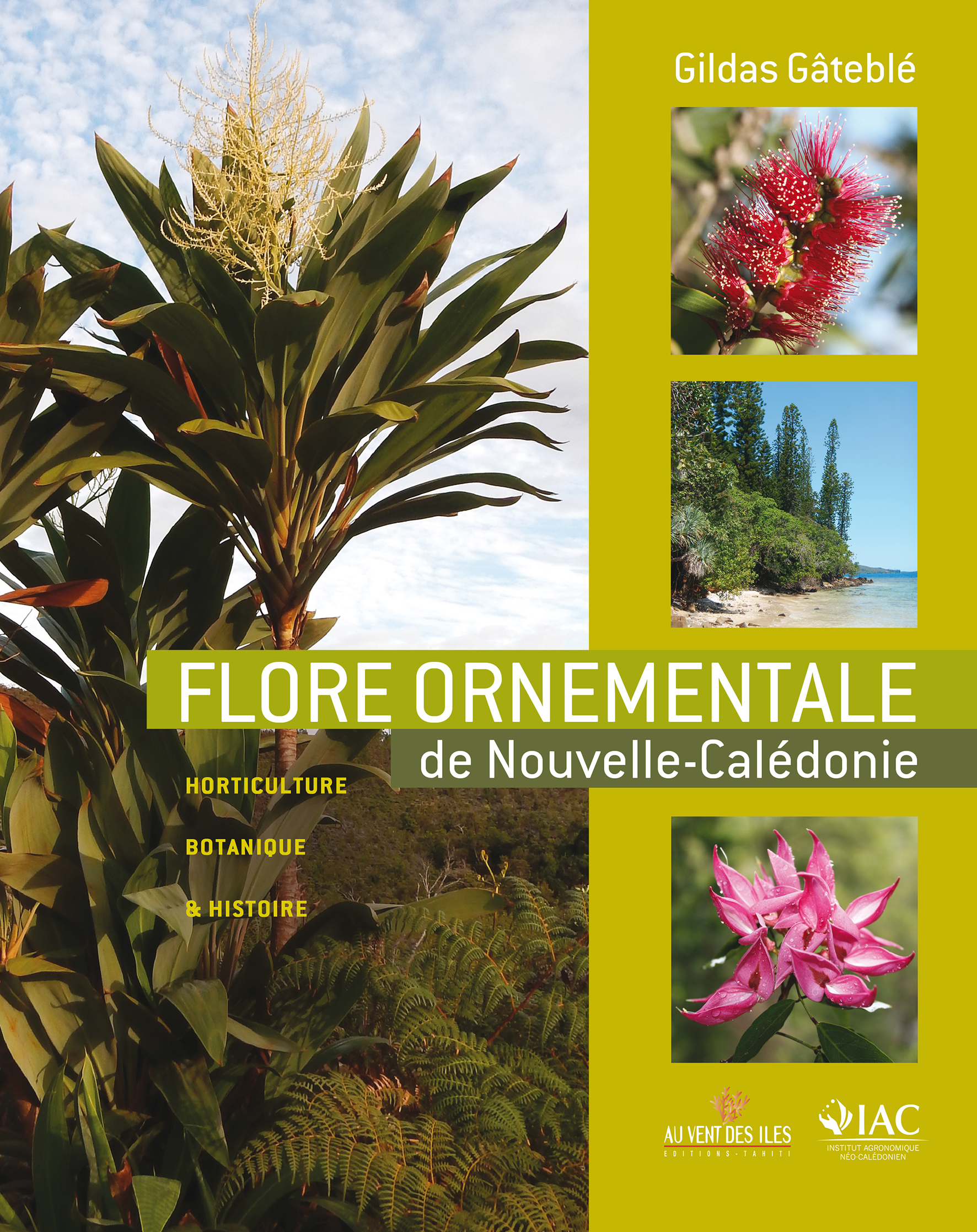 Les fleurs ornementales : une passion qui vaut le détour.