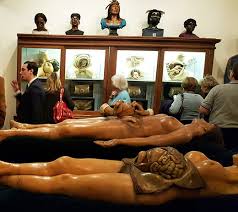 Un bar-musée pour amateurs d'anatomie et de macabre à Brooklyn