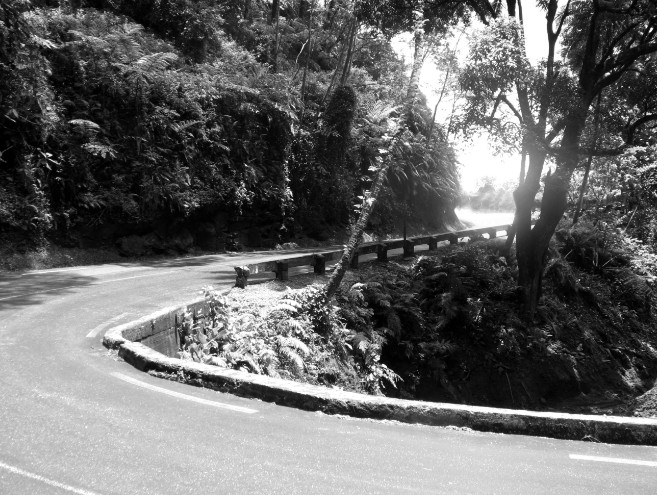 Les nuits des morts-vivants, tupapa’u bienveillants et ‘aiaru