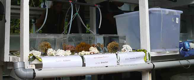 Ces deux étudiants obtiendront deux bourses, l'une à hauteur de 100 000 francs pour le premier lauréat qui est Pier-Paolo Brenat et la seconde bourse de 50 000 francs sera attribuée à Shubba Shalini Singh.