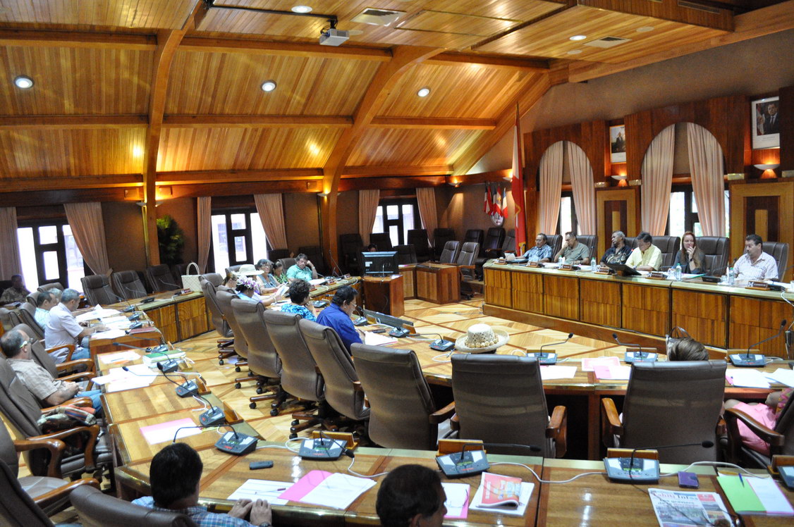 Le projet d’avis a été adopté par 29 votes pour, 0 vote contre et 5 abstentions.