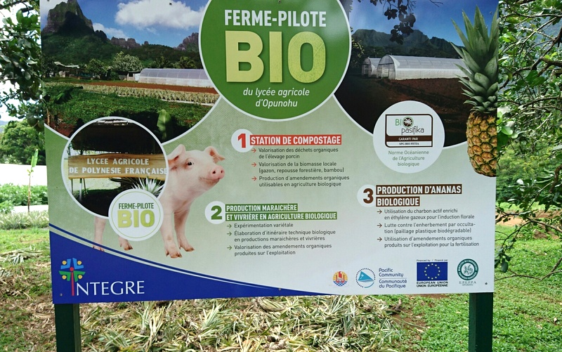 Comment devenir agriculteur bio en Polynésie ?