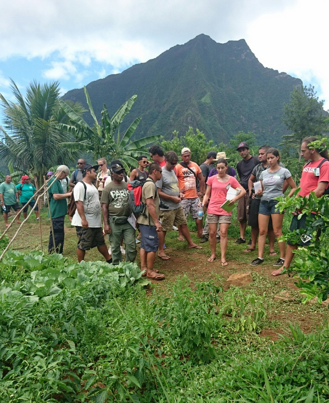 Les participants aux deuxièmes Ateliers régionaux sur l'agriculture biologique venaient de tout le Pacifique. Ils ont découvert les deux fermes pilotes à Moorea.
