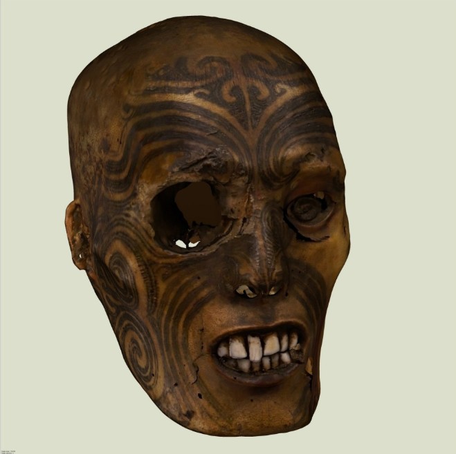 Une des têtes que la France détenait depuis 1875, celle du musée de Rouen. Elle a été restituée à la Nouvelle-Zélande en mai 2011.