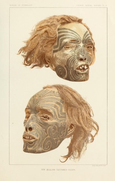 Les publications de l’époque (magazines et revues de voyages et de géographie) mettaient en évidence l’intérêt de ces “curios” maoris alors très recherchés.