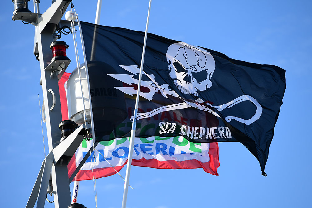 Les navires de Sea Shepherd en route pour défier les baleiniers japonais