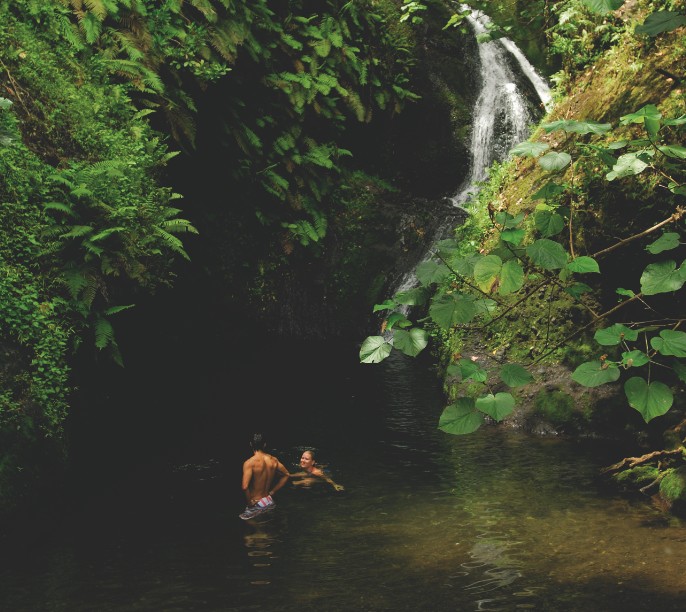 Dans l’intérieur de l’île de Rarotonga, les amateurs de nature vierge seront comblés.