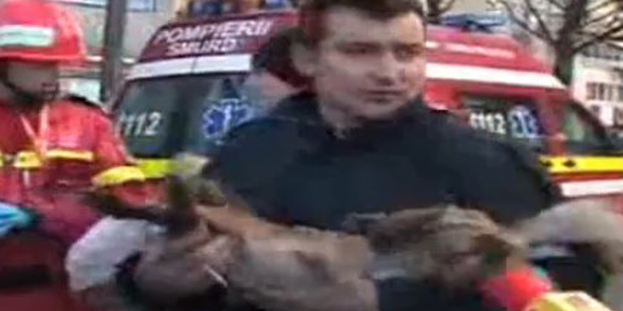 Roumanie : un pompier acclamé en héros après avoir fait du bouche à bouche à un chien